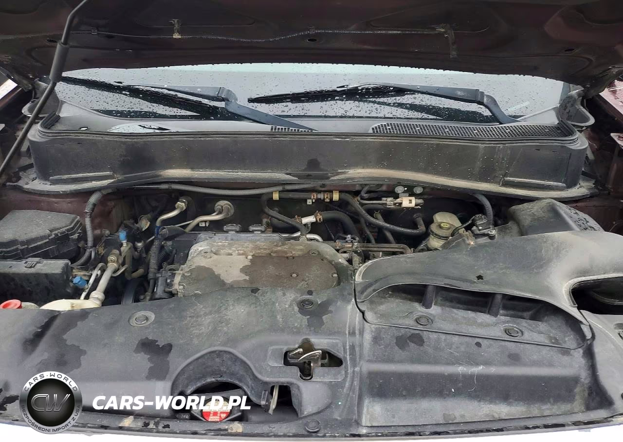 2009 Honda Pilot Exl VIN:5FNYF48599B005107 - 12