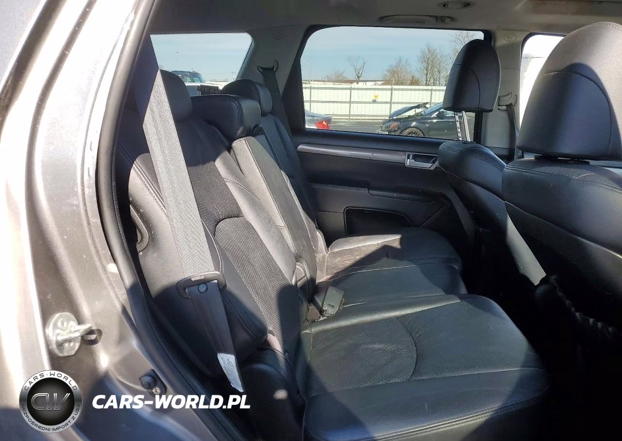 2009 Kia Borrego Lx V8 VIN:KNDJH742295023930 - 10
