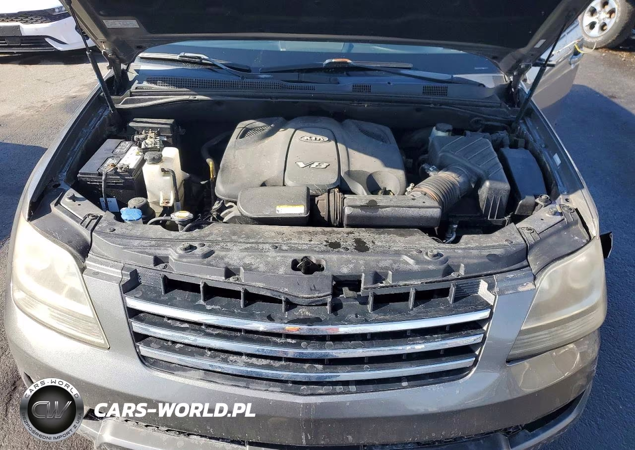 2009 Kia Borrego Lx V8 VIN:KNDJH742295023930 - 11