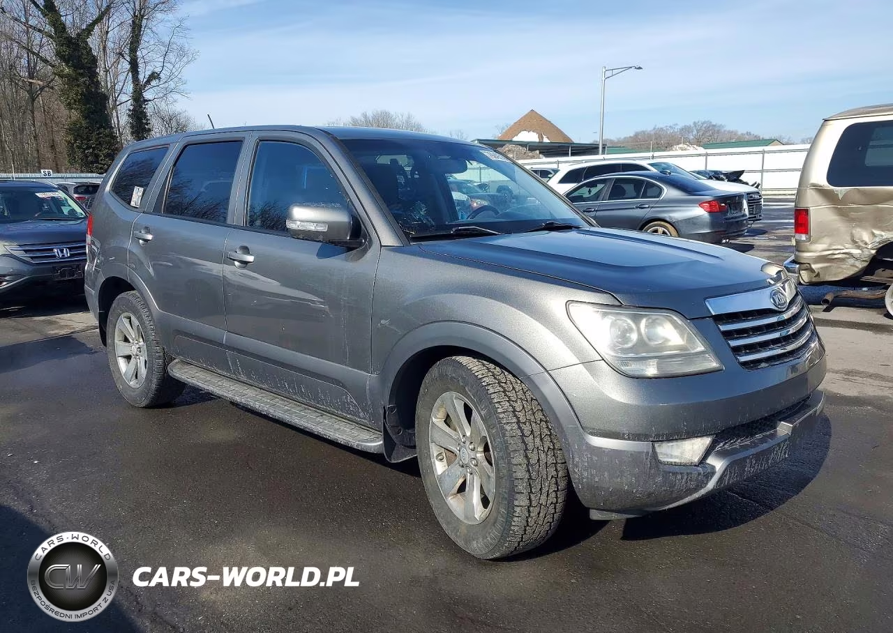 2009 Kia Borrego Lx V8 VIN:KNDJH742295023930 - 4