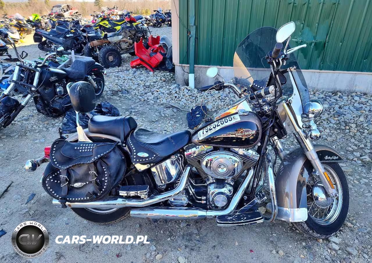 2005 Harley Davidson Flstci