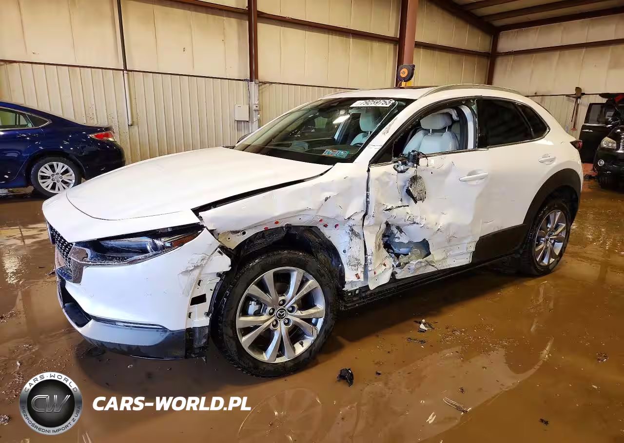 2020 Mazda Cx-30 Premium