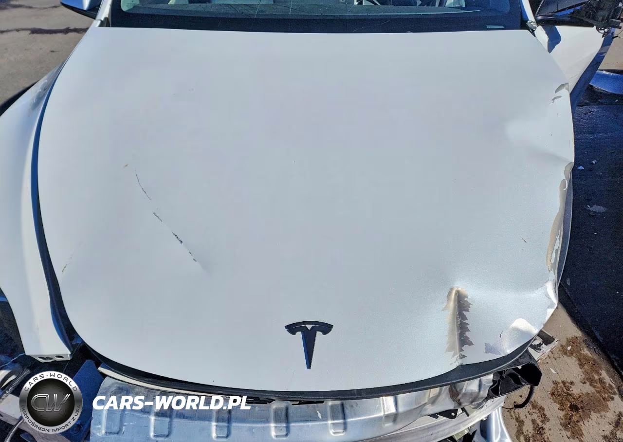 2021 Tesla Model Y VIN:5YJYGDEE6MF198049 - 11