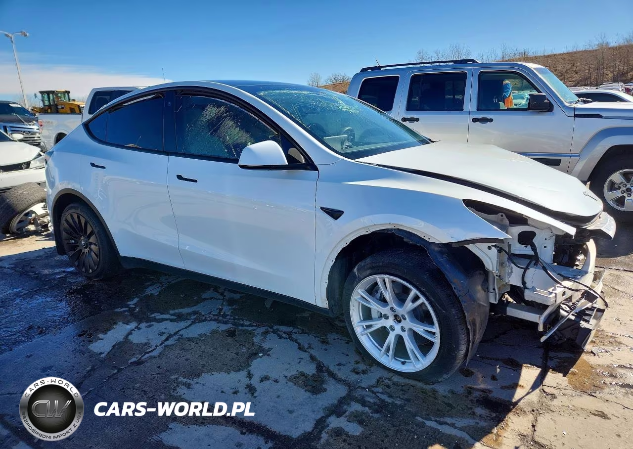 2021 Tesla Model Y VIN:5YJYGDEE6MF198049 - 4