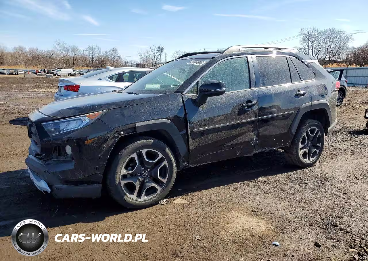 2019 Toyota Rav4 Adventure
