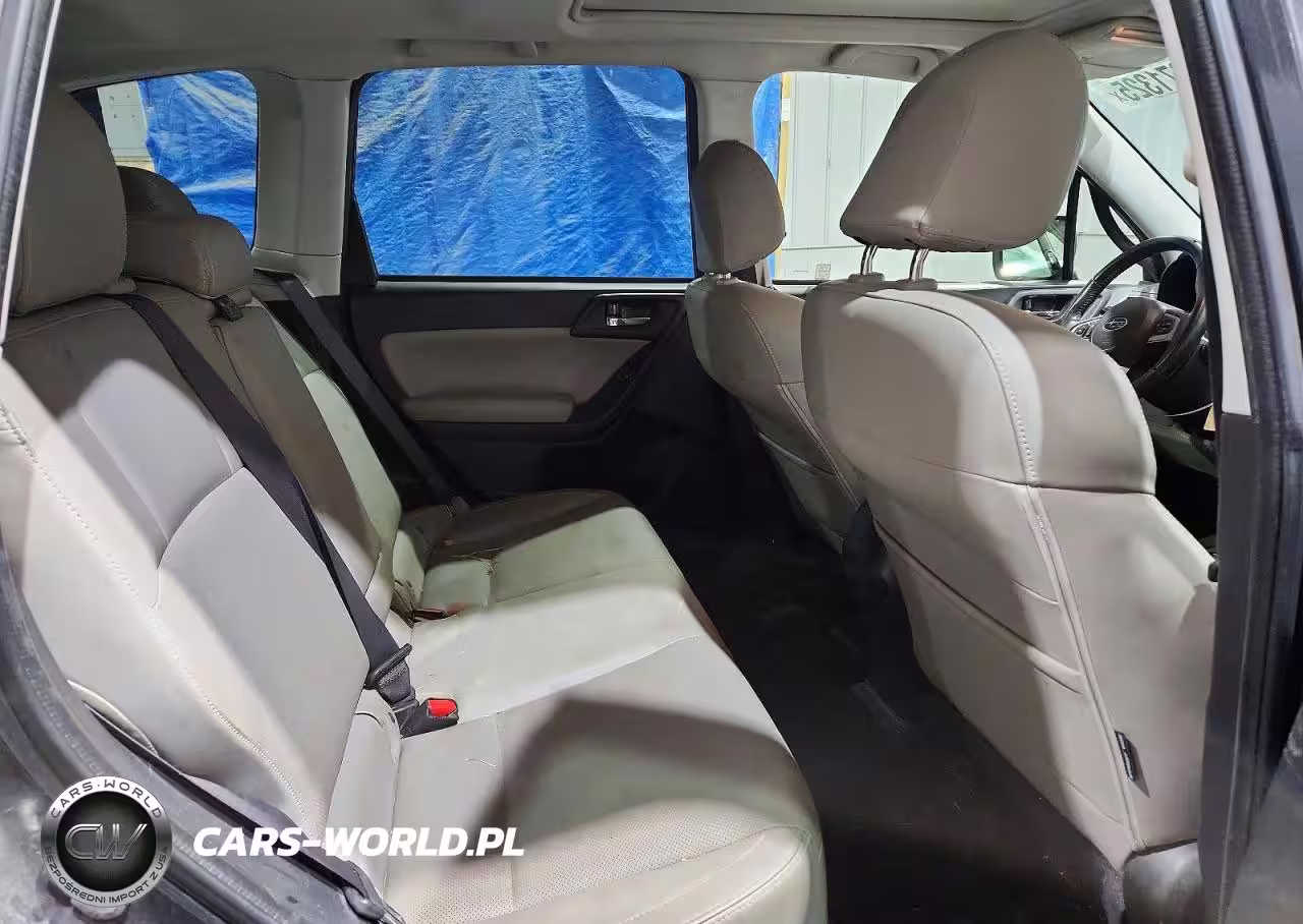 2017 Subaru Forester 2.5I Limited VIN:JF2SJAJC7HH475485 - 11
