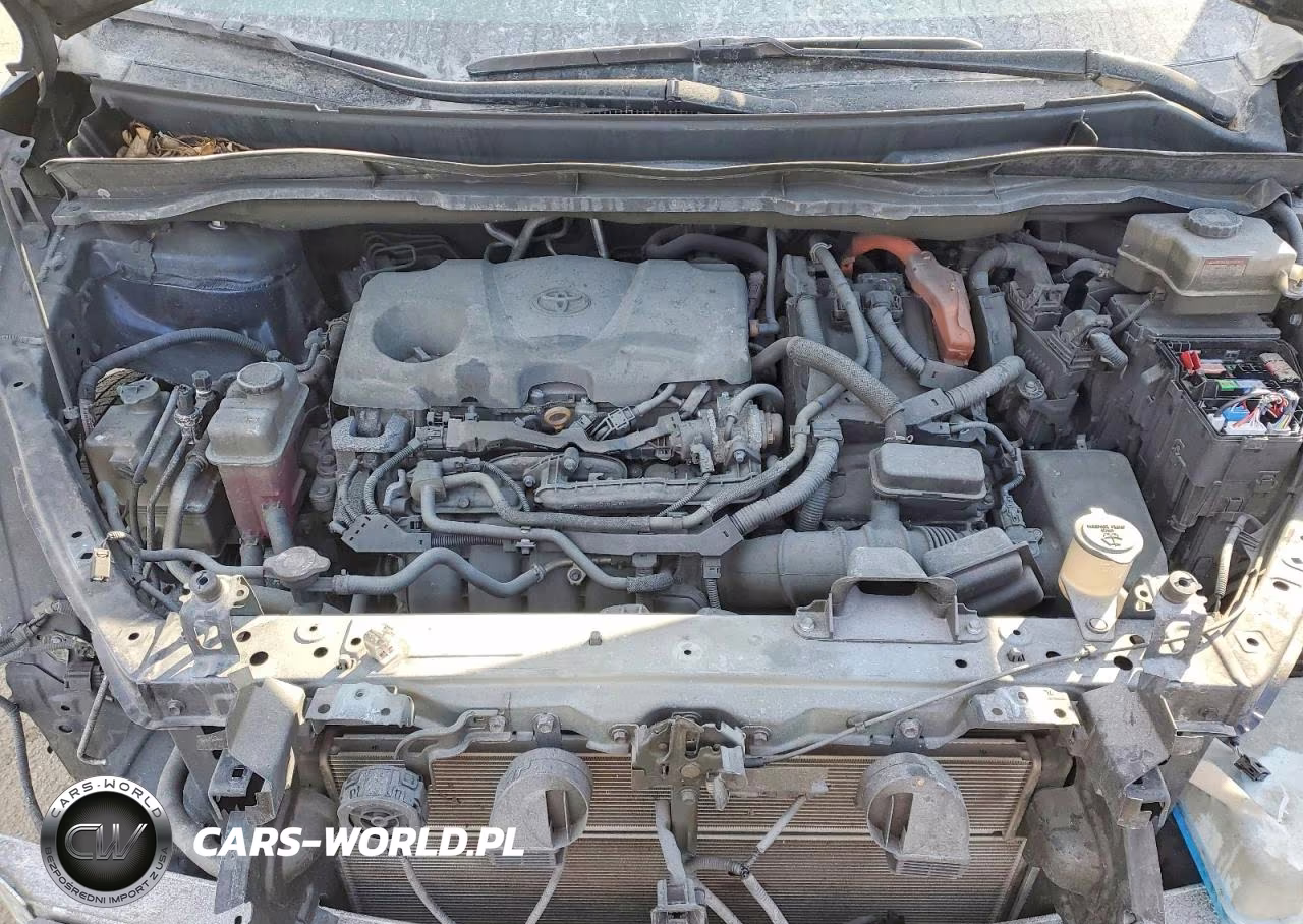 2024 Toyota Sienna VIN:5TDJSKFC8RS141355 - 12