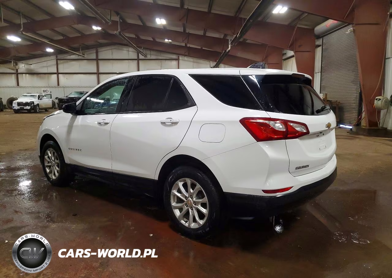 2019 Chevrolet Equinox Ls VIN:2GNAXSEV5K6258239 - 2