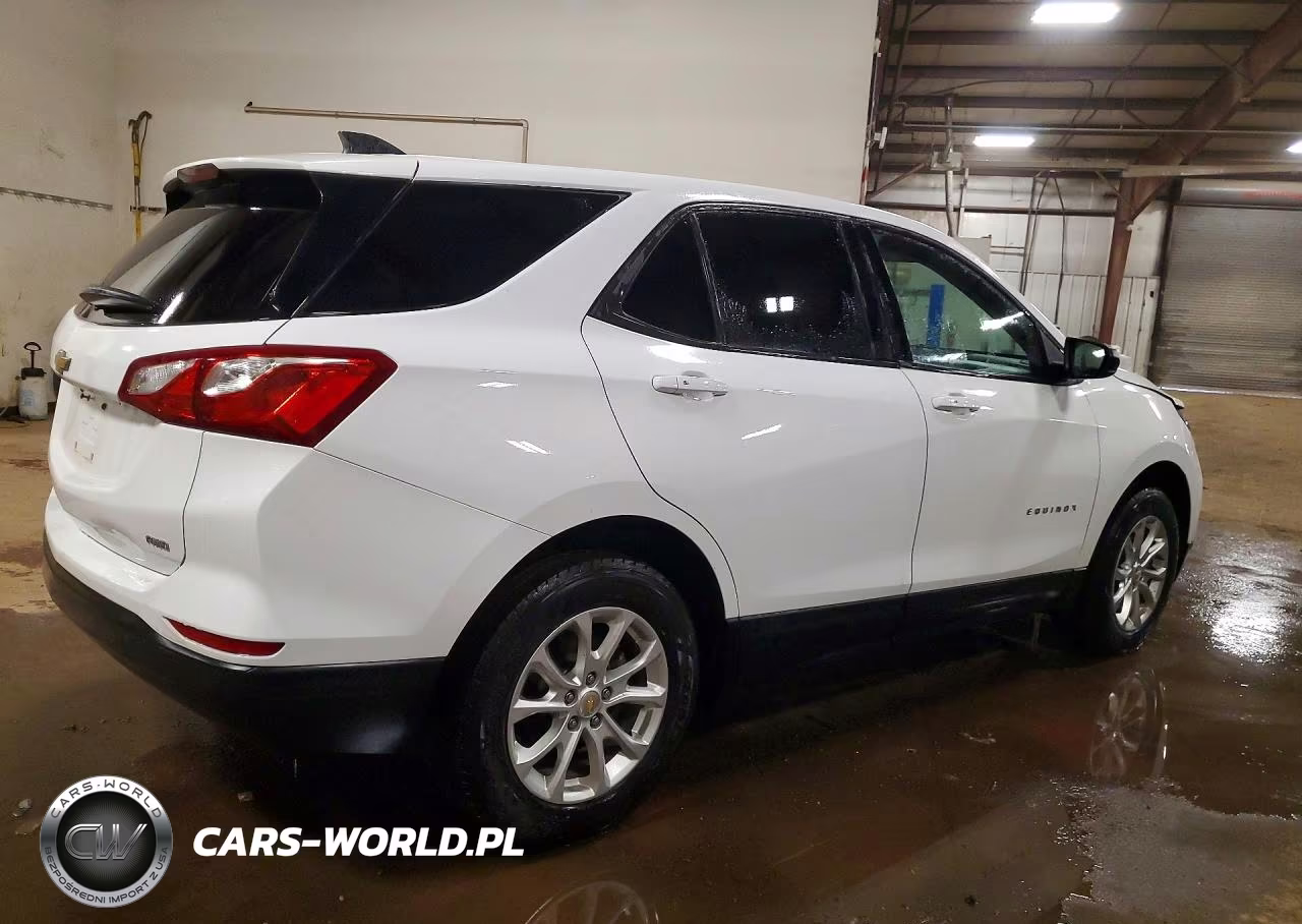 2019 Chevrolet Equinox Ls VIN:2GNAXSEV5K6258239 - 3