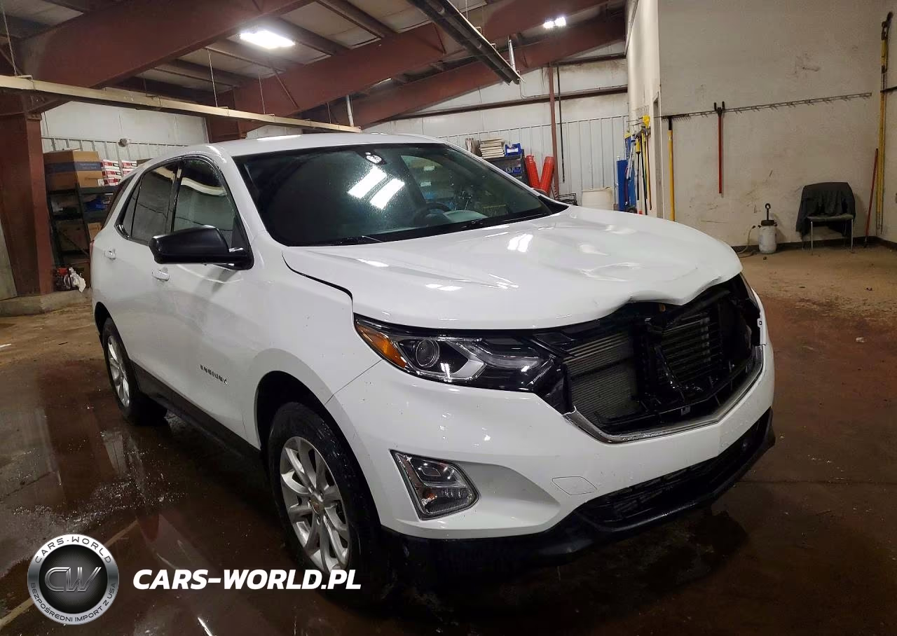 2019 Chevrolet Equinox Ls VIN:2GNAXSEV5K6258239 - 4