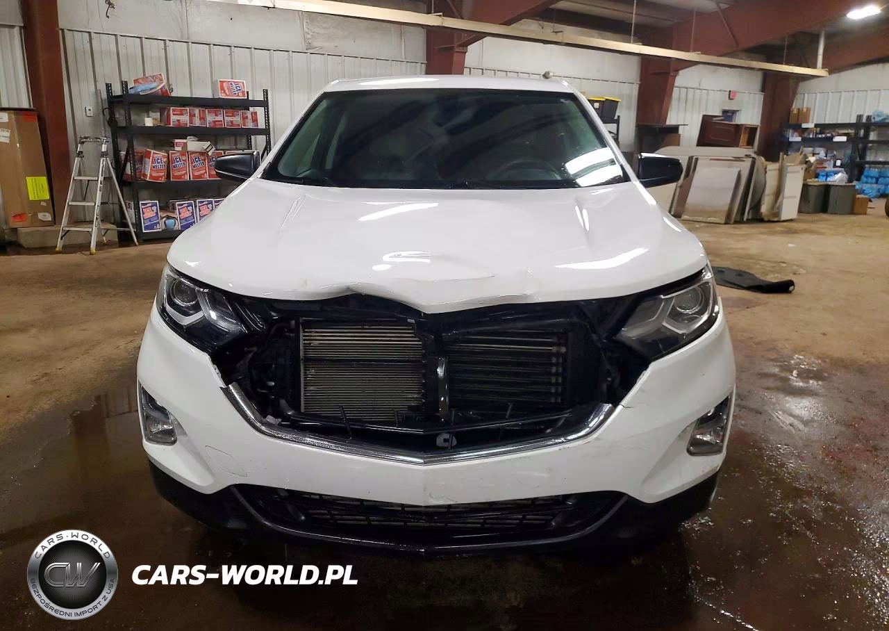 2019 Chevrolet Equinox Ls VIN:2GNAXSEV5K6258239 - 5
