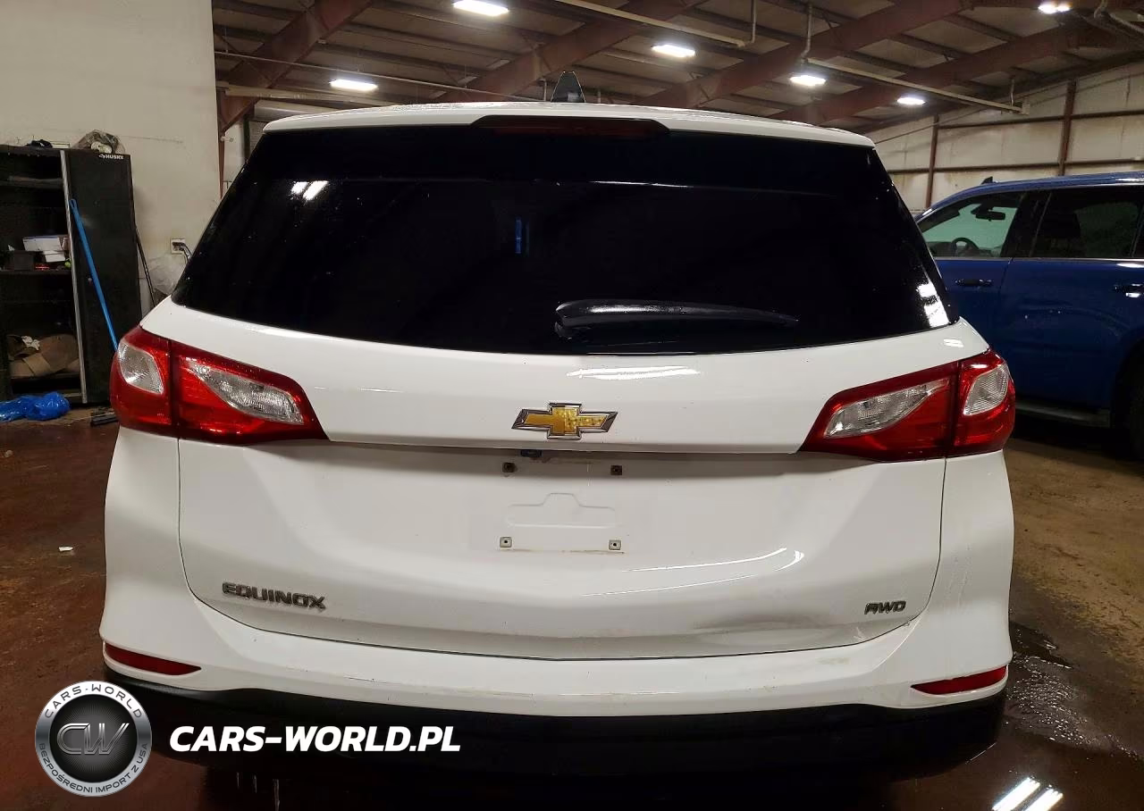 2019 Chevrolet Equinox Ls VIN:2GNAXSEV5K6258239 - 6