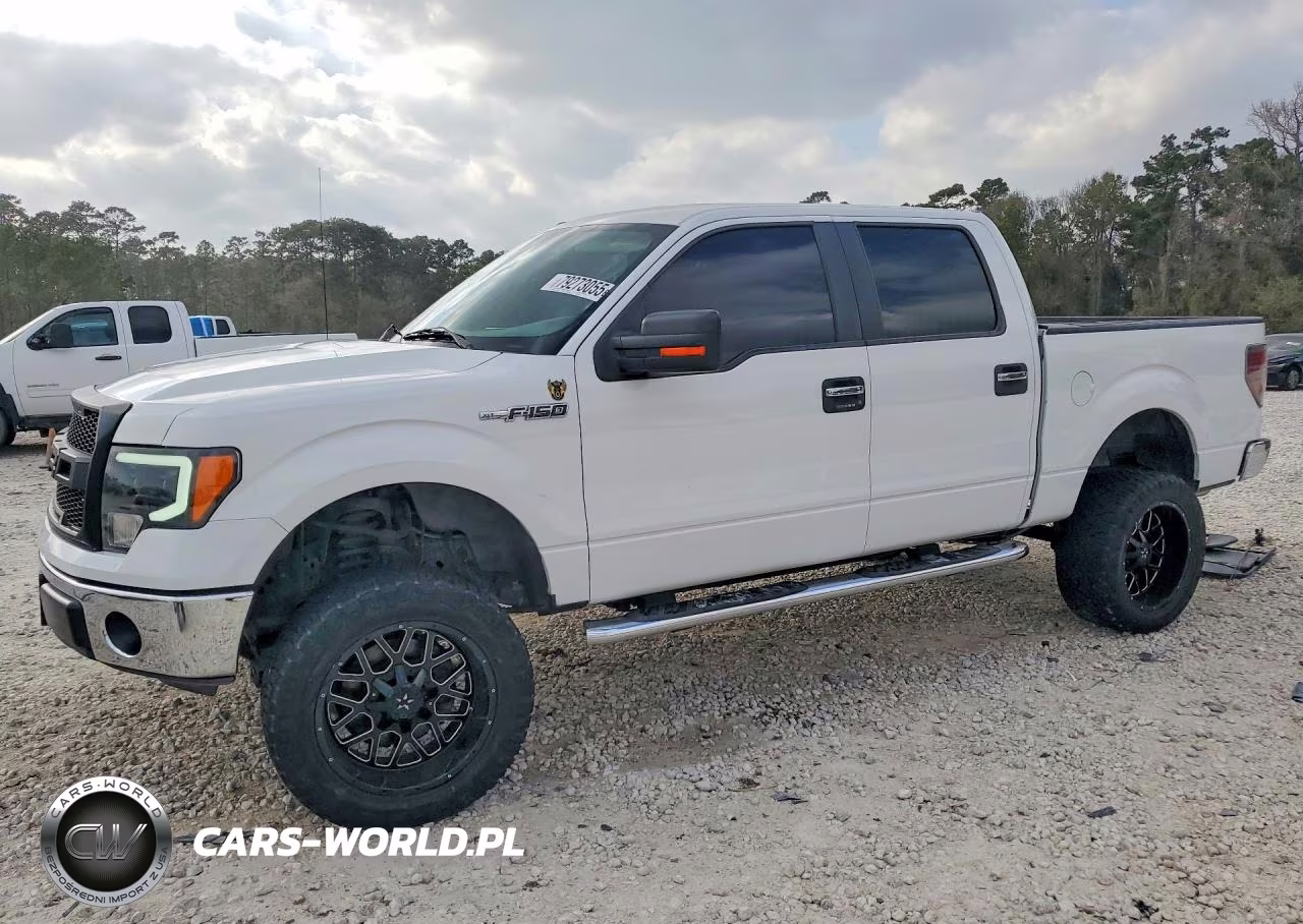 FORD F-150 – zdjęcie 1 z 12