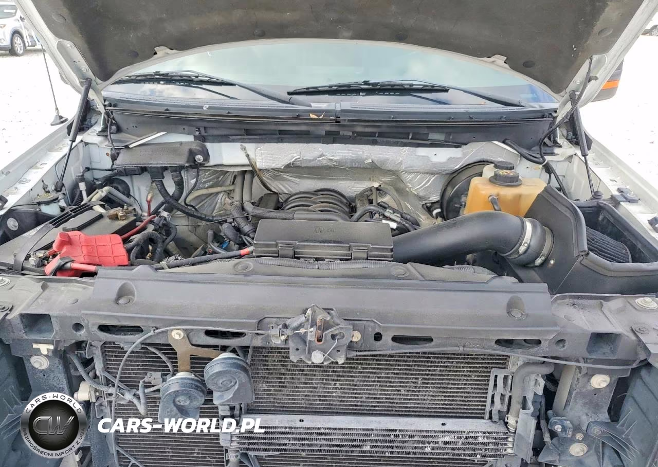 FORD F-150 VIN:1FTFW1CF0CKE17786 - 11