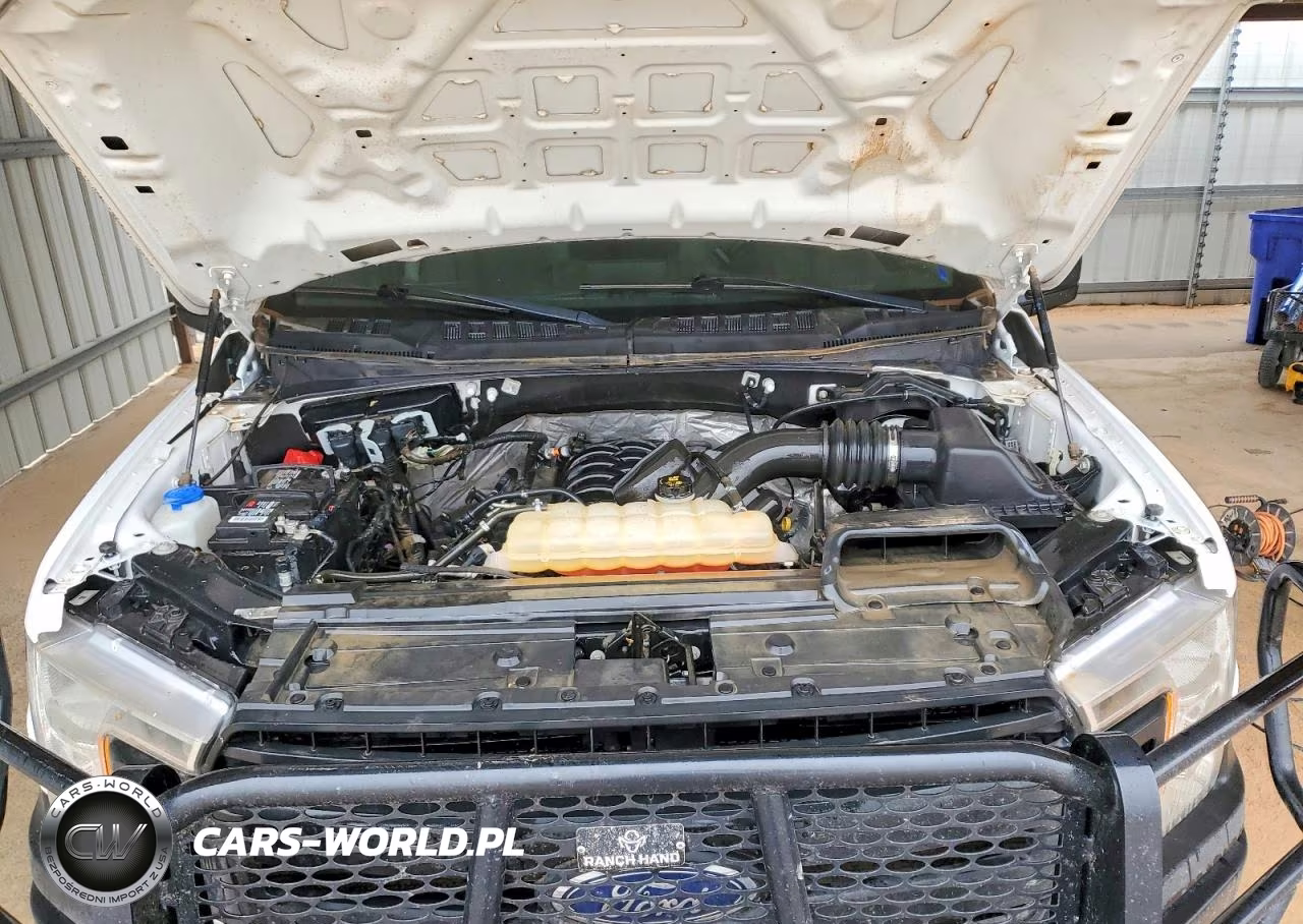 2018 Ford F150 Supercrew VIN:1FTEW1E59JKF06706 - 11