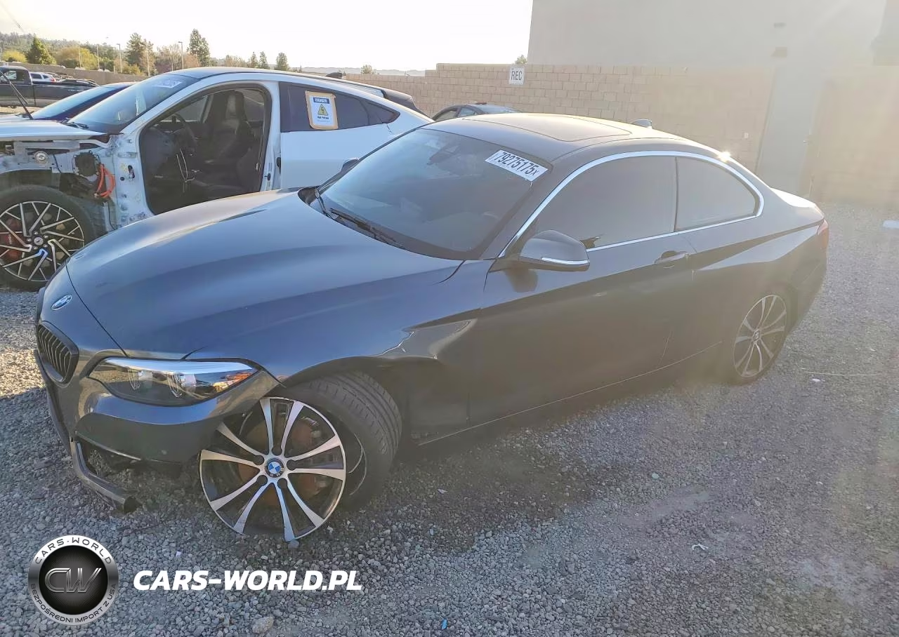2020 BMW 230I