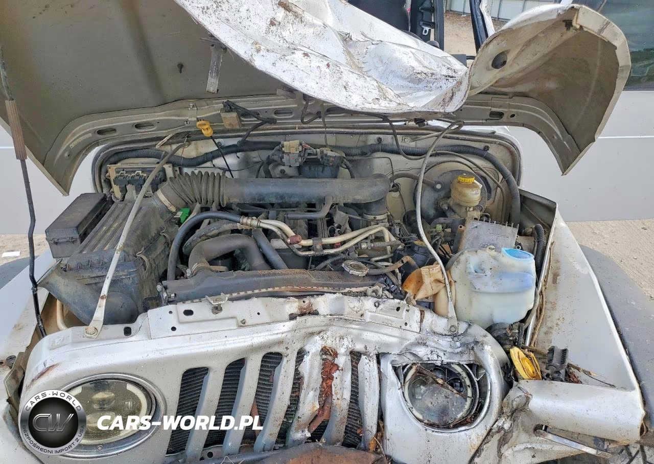 2004 Jeep Wrangler - Tj Sport VIN:1J4FA49S54P723627 - 11