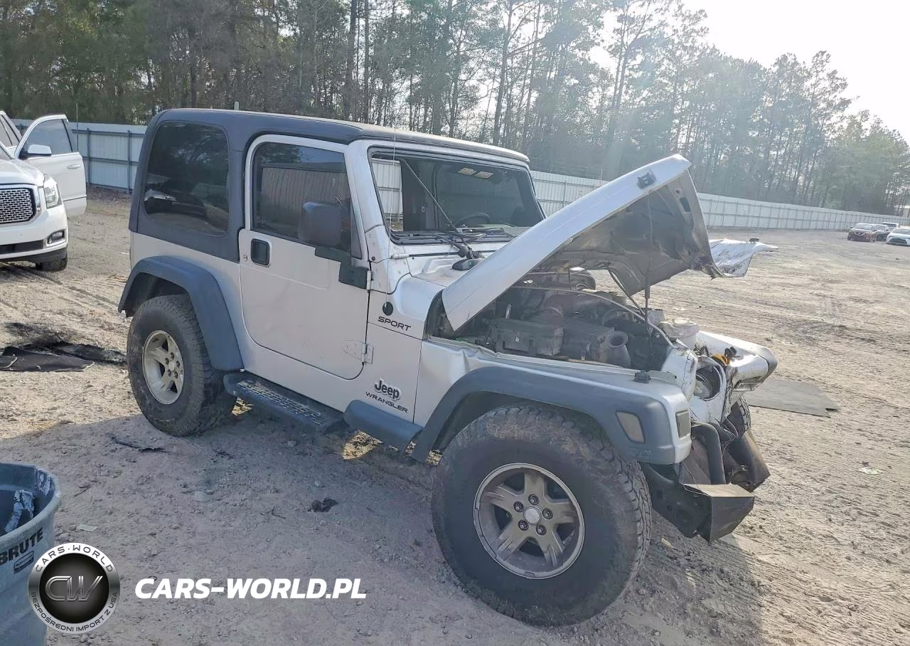 2004 Jeep Wrangler - Tj Sport VIN:1J4FA49S54P723627 - 4