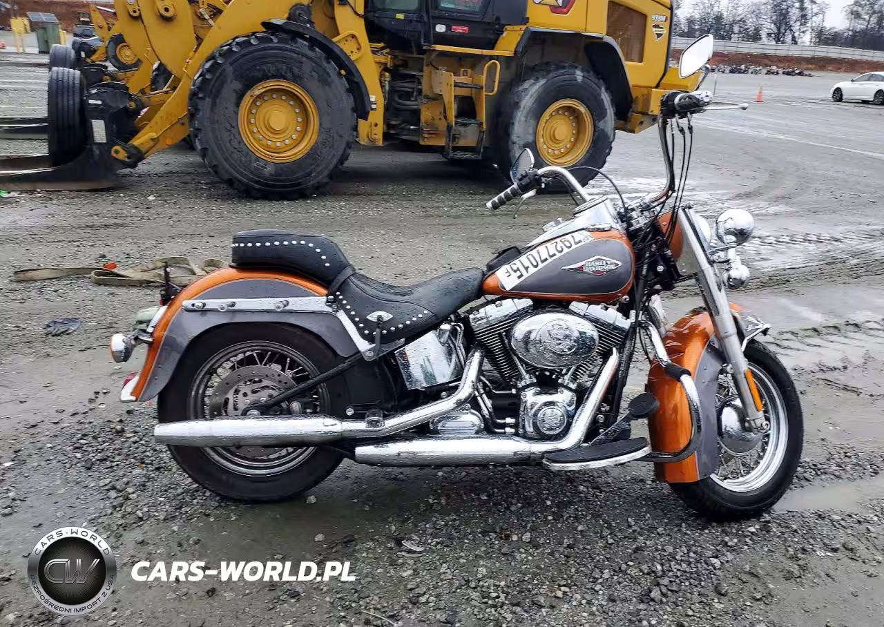 2015 Harley-Davidson Flstc Heritage Softail Classic