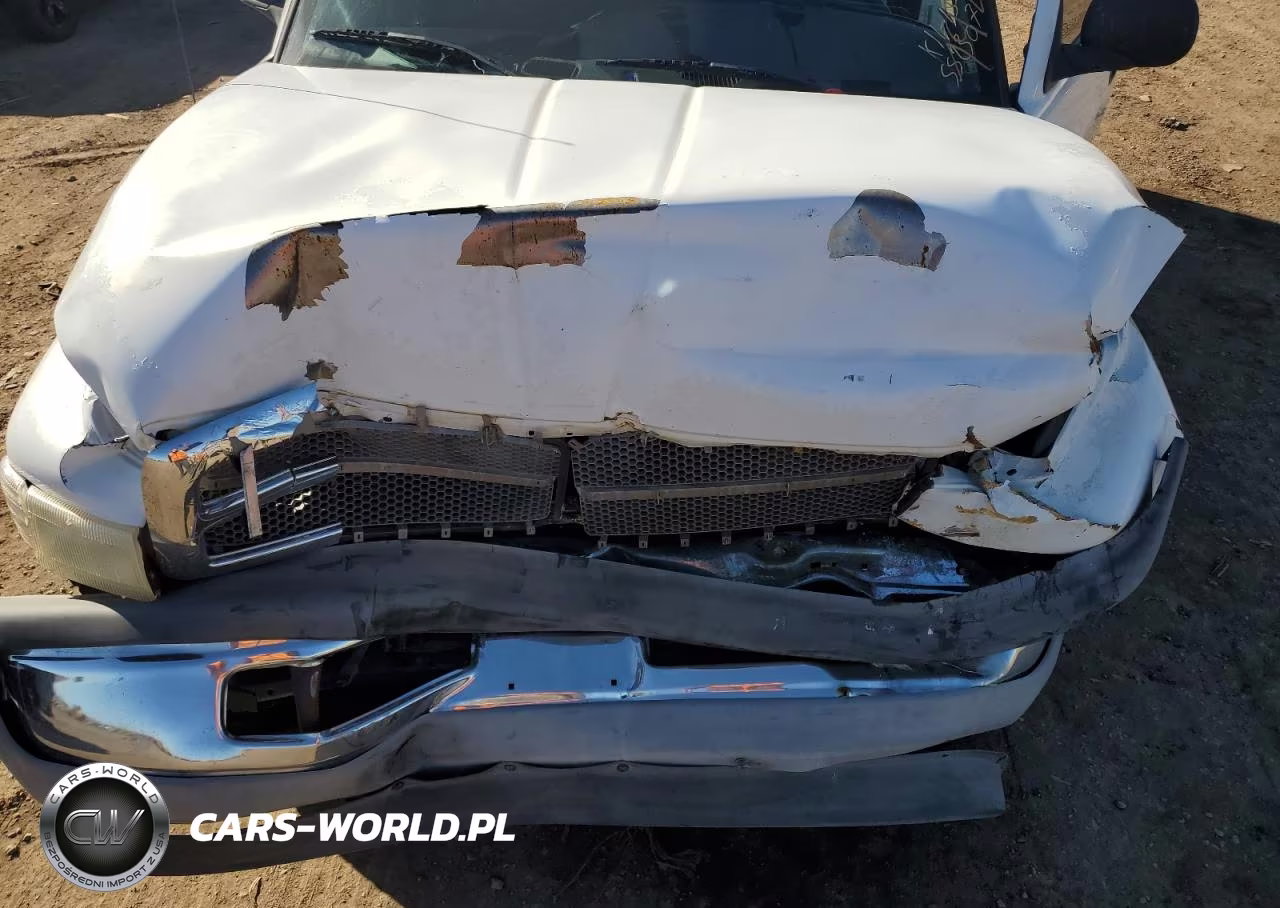 2000 Dodge Ram 1500 VIN:1B7HC16X5YS552307 - 11
