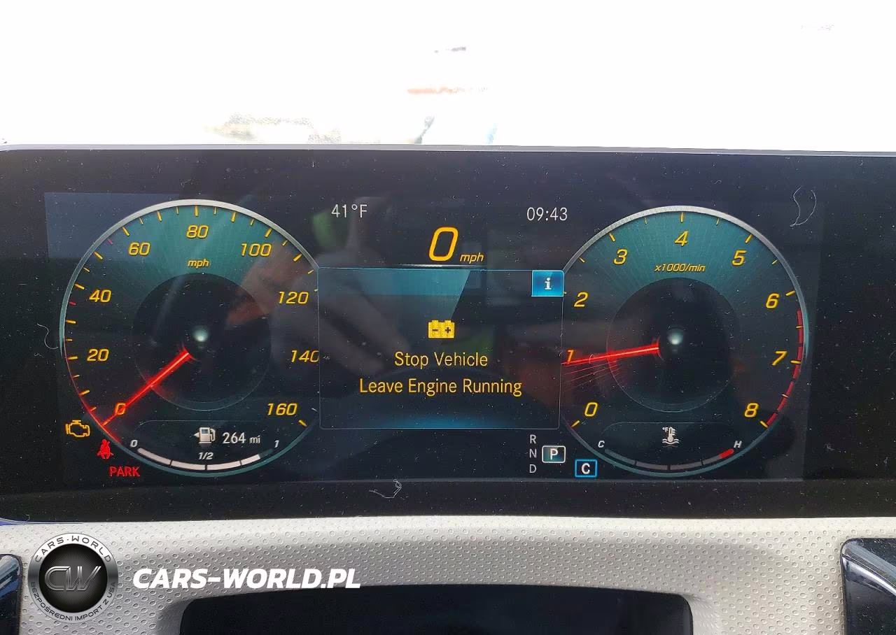 2019 Mercedes-Benz A 220 4Matic VIN:WDD3G4FB0KW010882 - 9