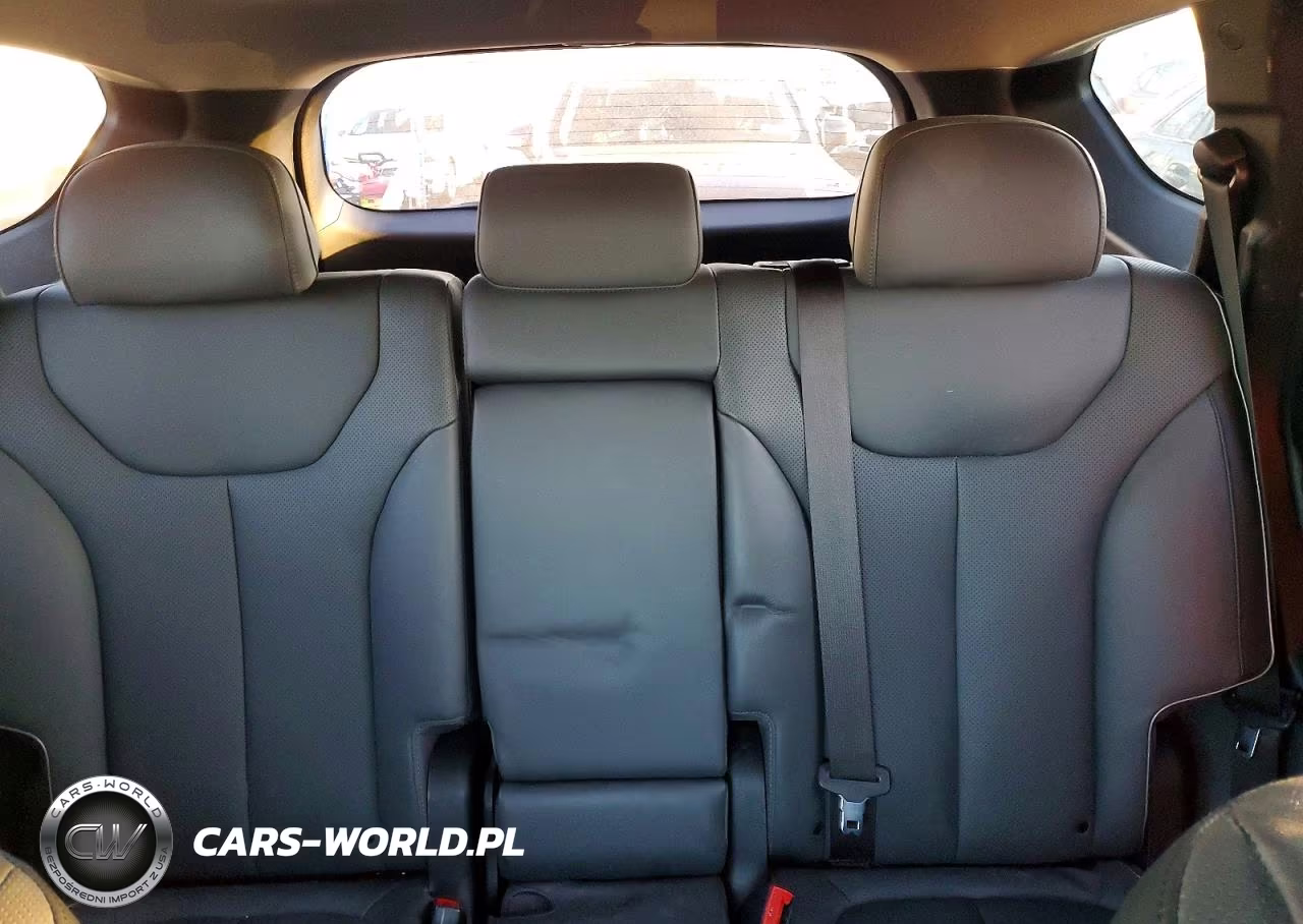 2023 Hyundai Santa Fe Limited VIN:5NMS4DAL3PH535931 - 10