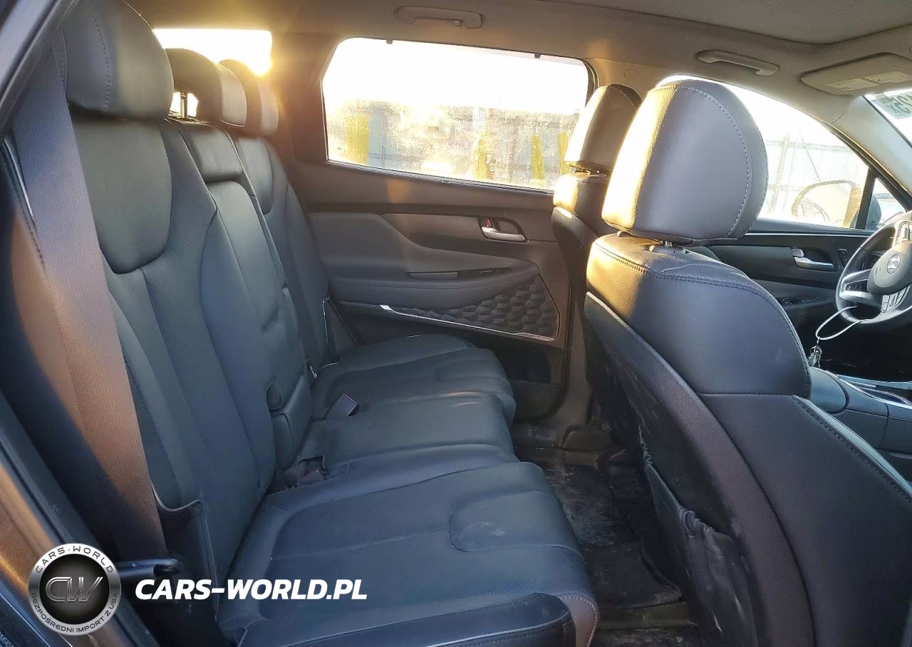 2023 Hyundai Santa Fe Limited VIN:5NMS4DAL3PH535931 - 11
