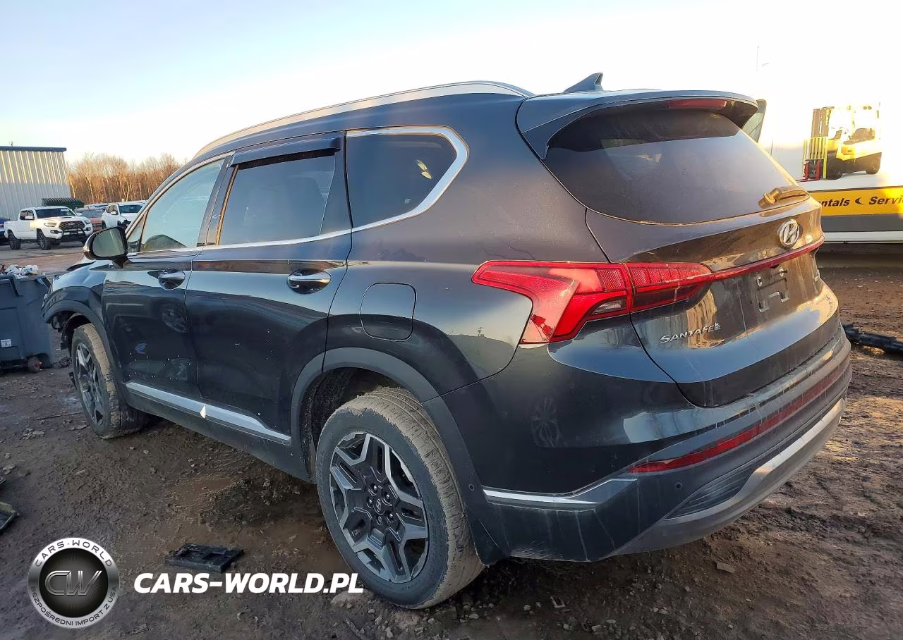 2023 Hyundai Santa Fe Limited VIN:5NMS4DAL3PH535931 - 2