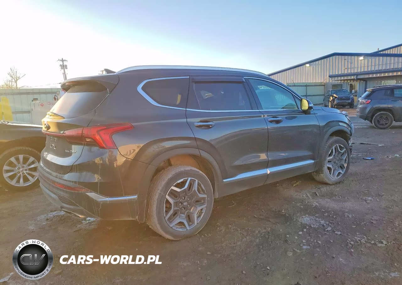 2023 Hyundai Santa Fe Limited VIN:5NMS4DAL3PH535931 - 3