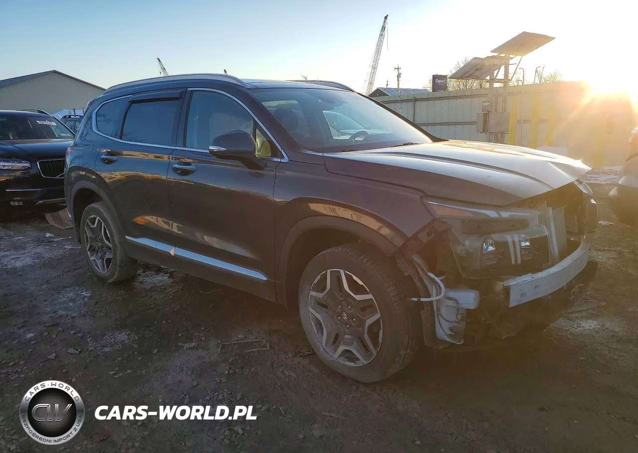2023 Hyundai Santa Fe Limited VIN:5NMS4DAL3PH535931 - 4