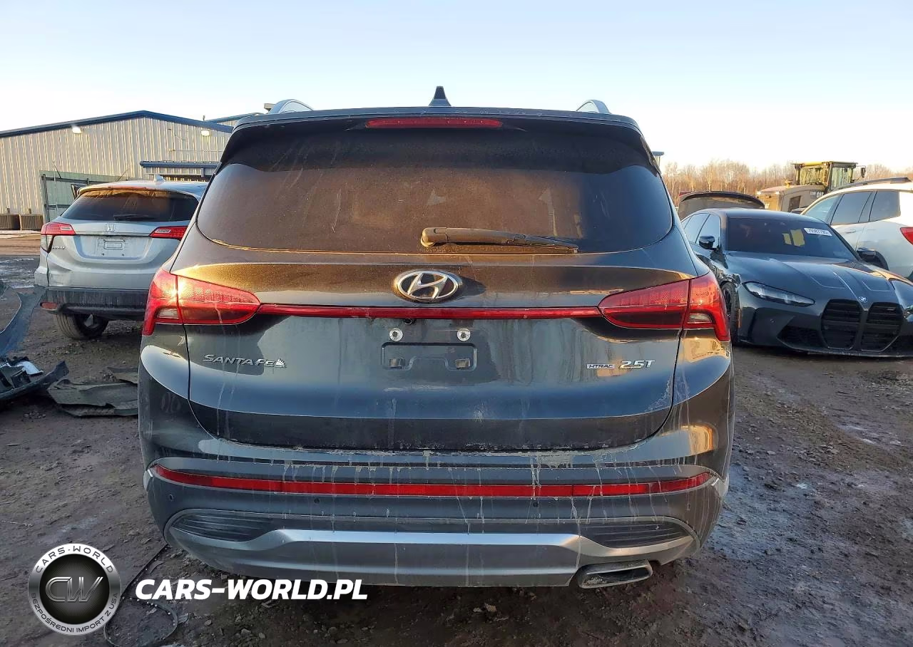 2023 Hyundai Santa Fe Limited VIN:5NMS4DAL3PH535931 - 6