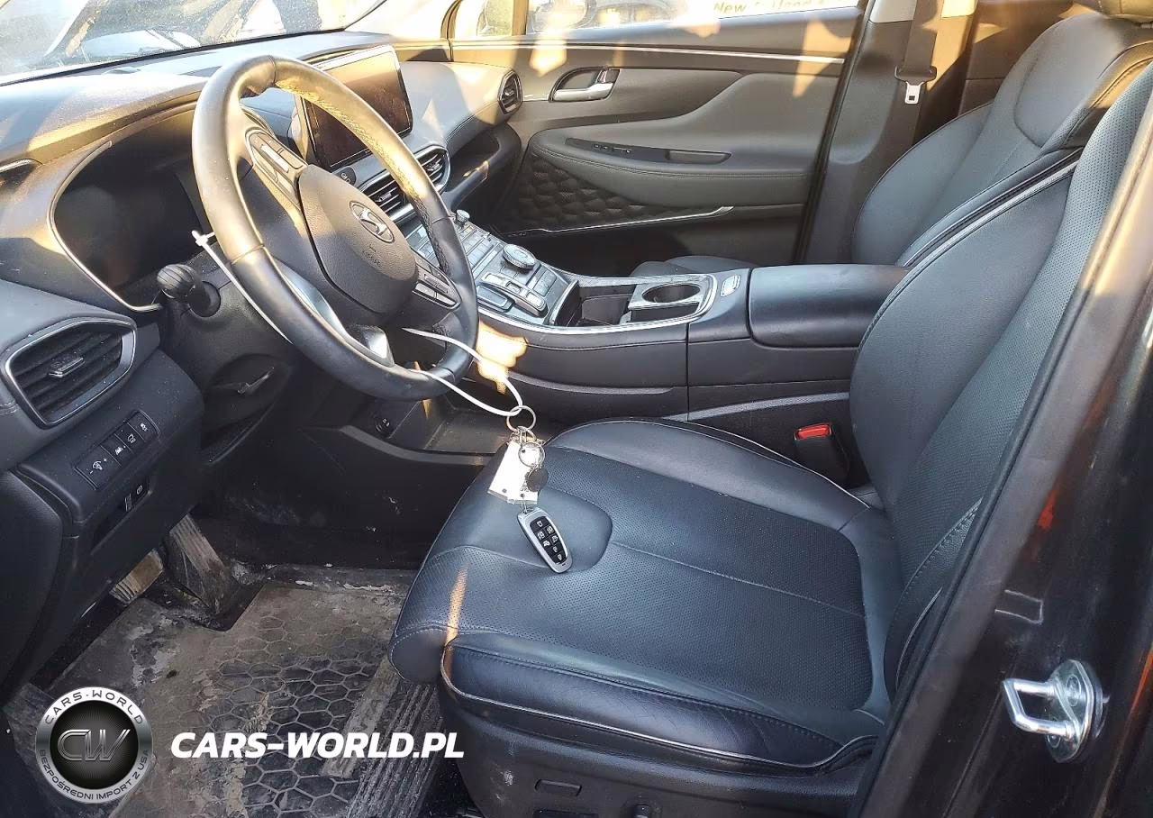 2023 Hyundai Santa Fe Limited VIN:5NMS4DAL3PH535931 - 7