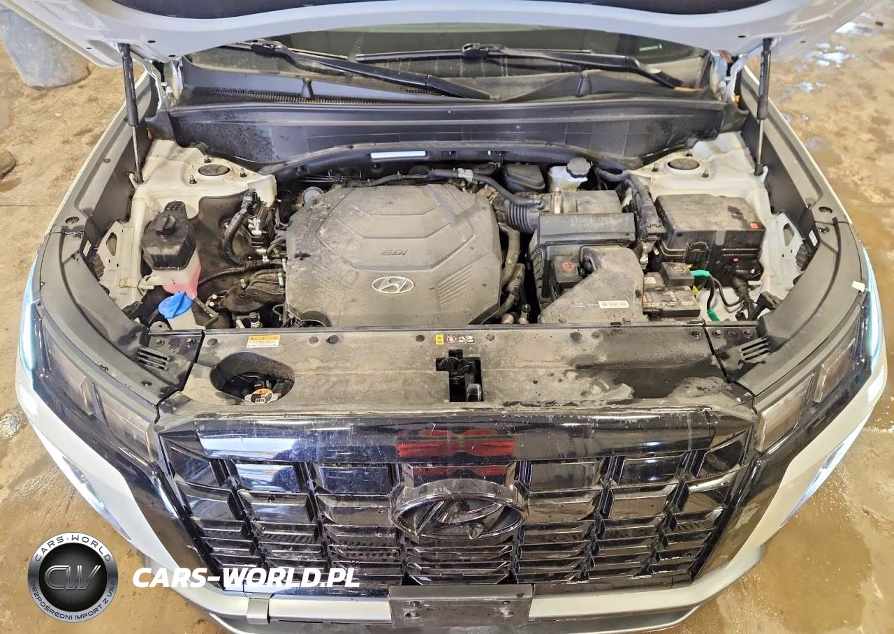 2024 Hyundai Palisade Sel VIN:KM8R2DGE9RU773206 - 12