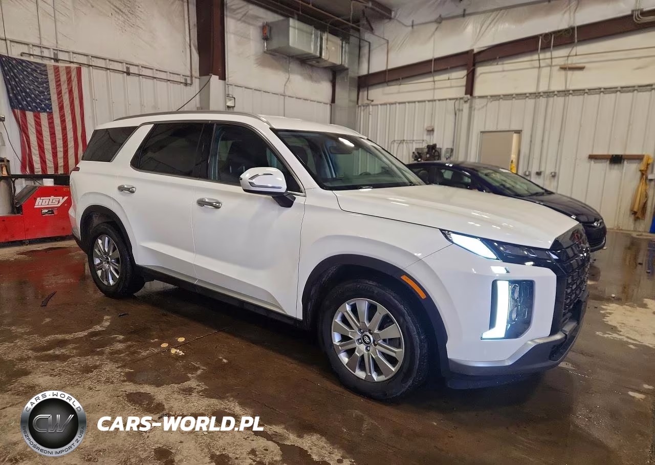 2024 Hyundai Palisade Sel VIN:KM8R2DGE9RU773206 - 4