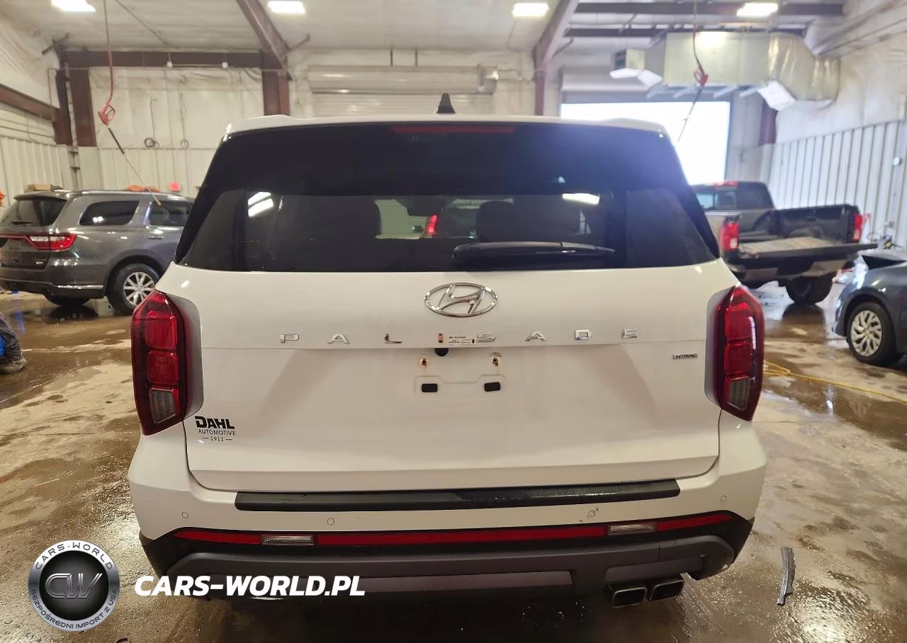 2024 Hyundai Palisade Sel VIN:KM8R2DGE9RU773206 - 6