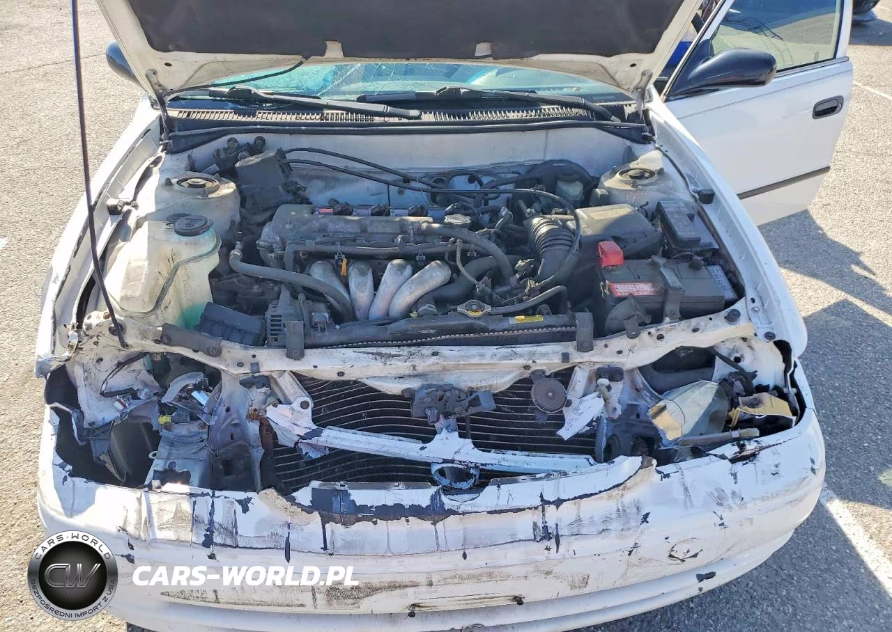 2000 Toyota Corolla Ve VIN:1NXBR12E8YZ346245 - 11