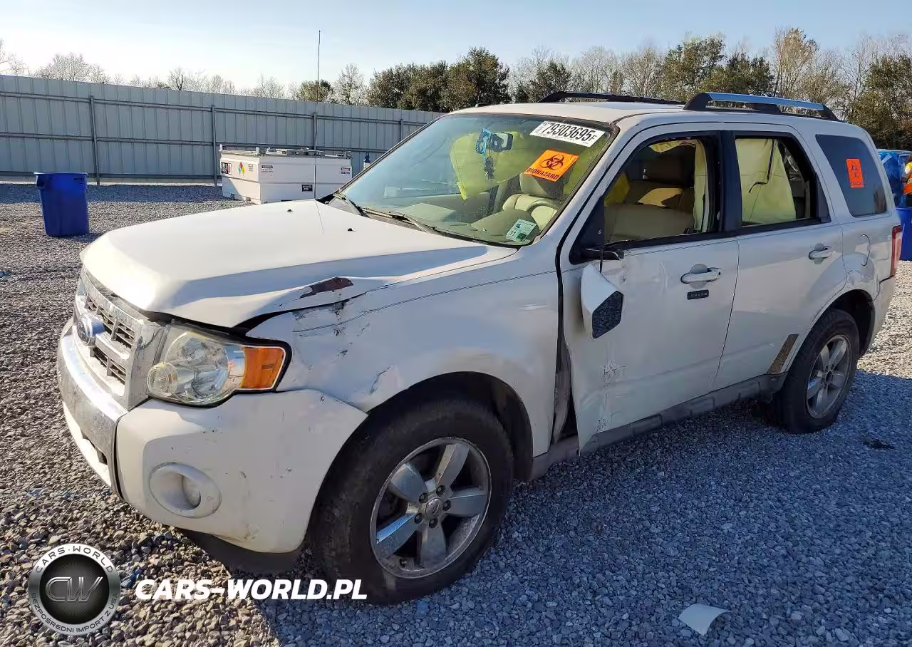 2009 Ford Escape Limited