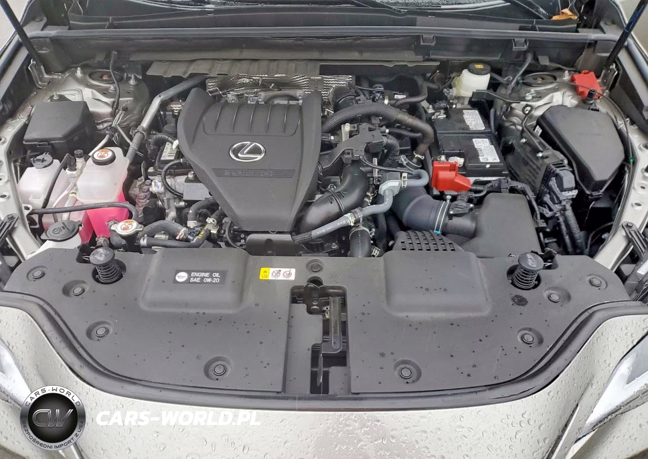 2025 Lexus Nx 350 Premium VIN:2T2GGCEZ2SC081249 - 12