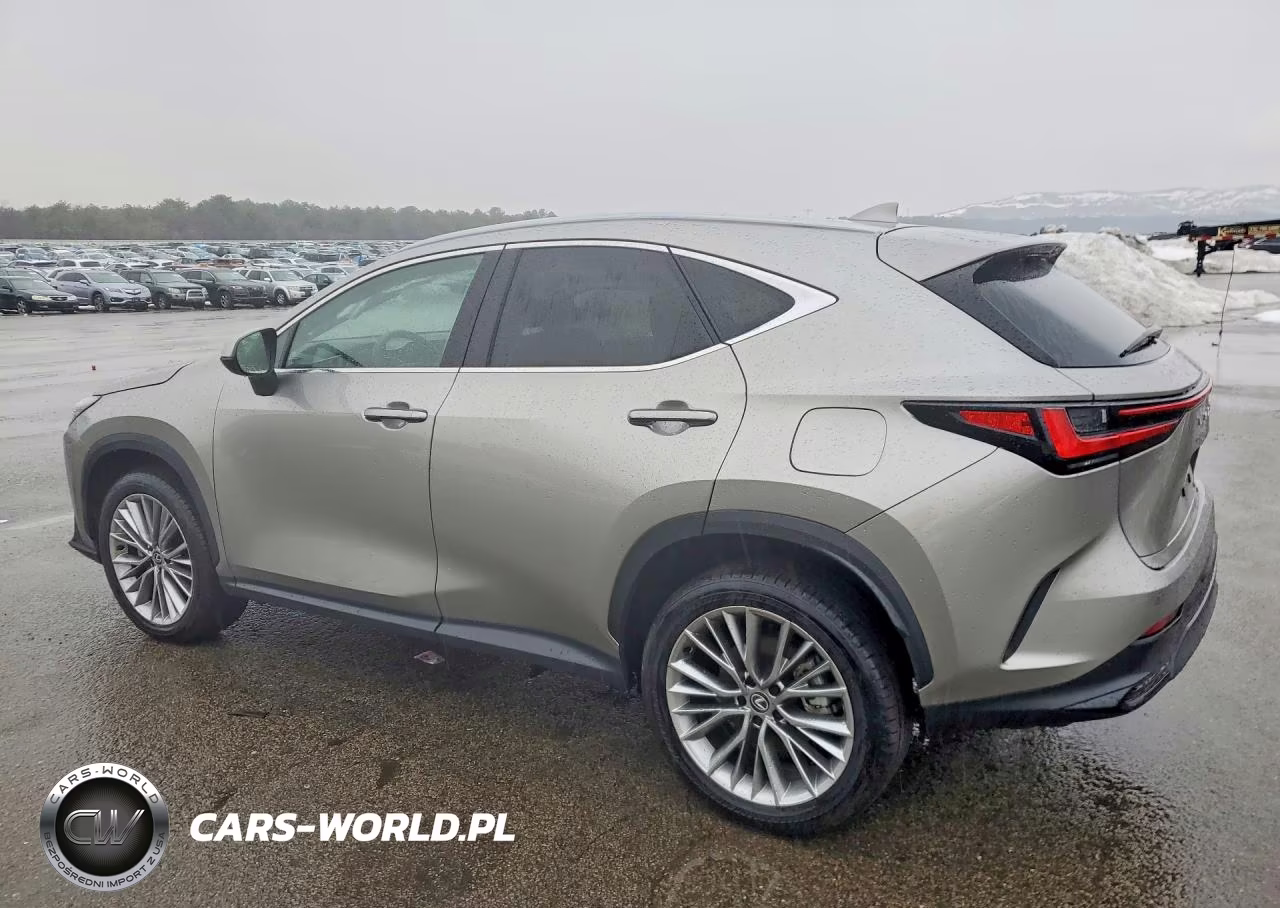 2025 Lexus Nx 350 Premium VIN:2T2GGCEZ2SC081249 - 2