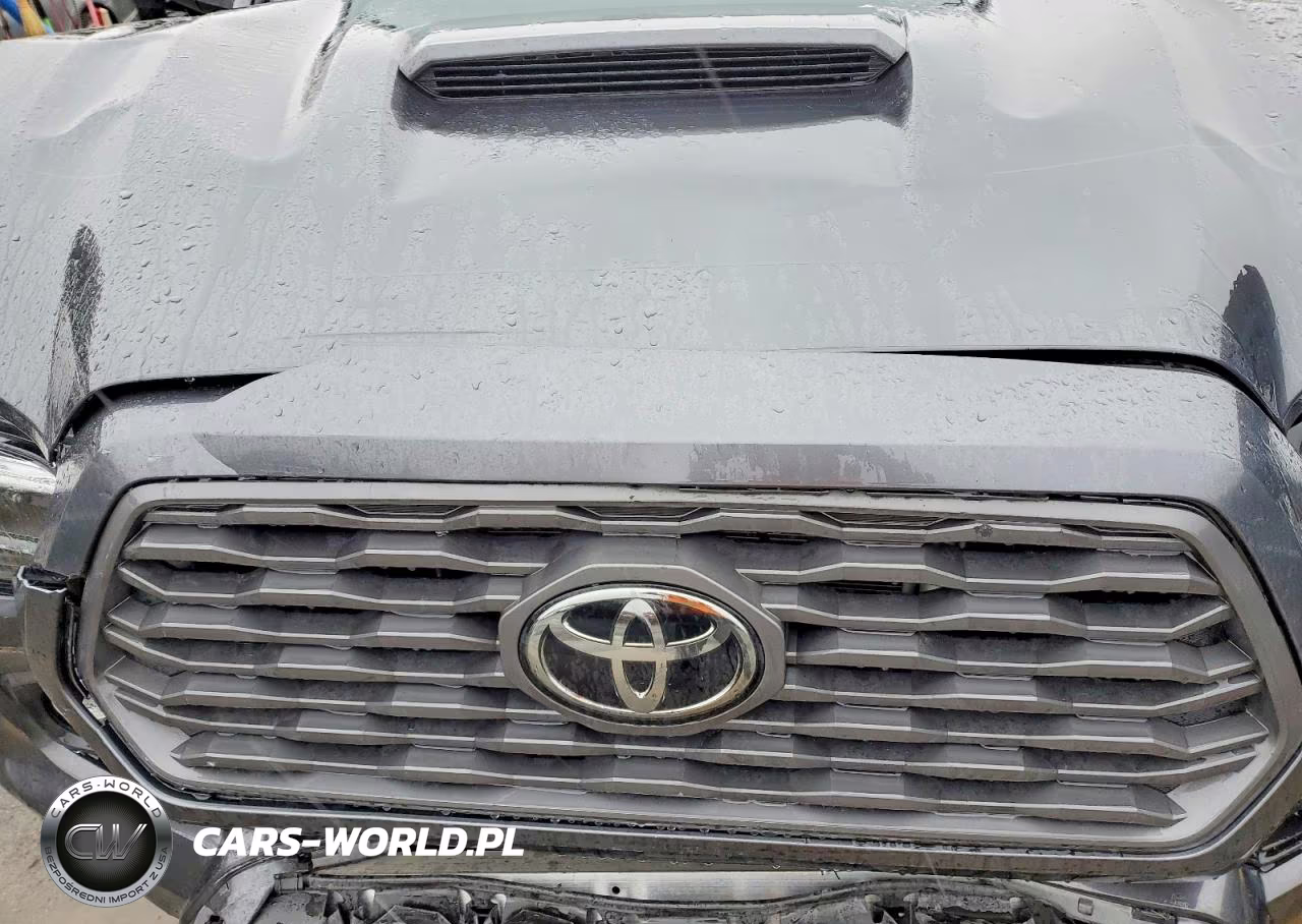 2021 Toyota Tacoma Trd Sport VIN:3TMCZ5AN7MM441430 - 11