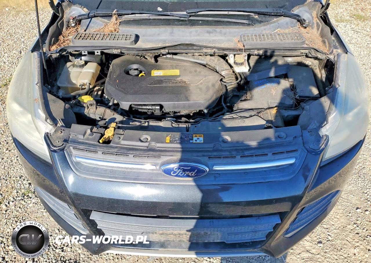 2013 Ford Escape Se VIN:1FMCU9GX6DUD55726 - 11