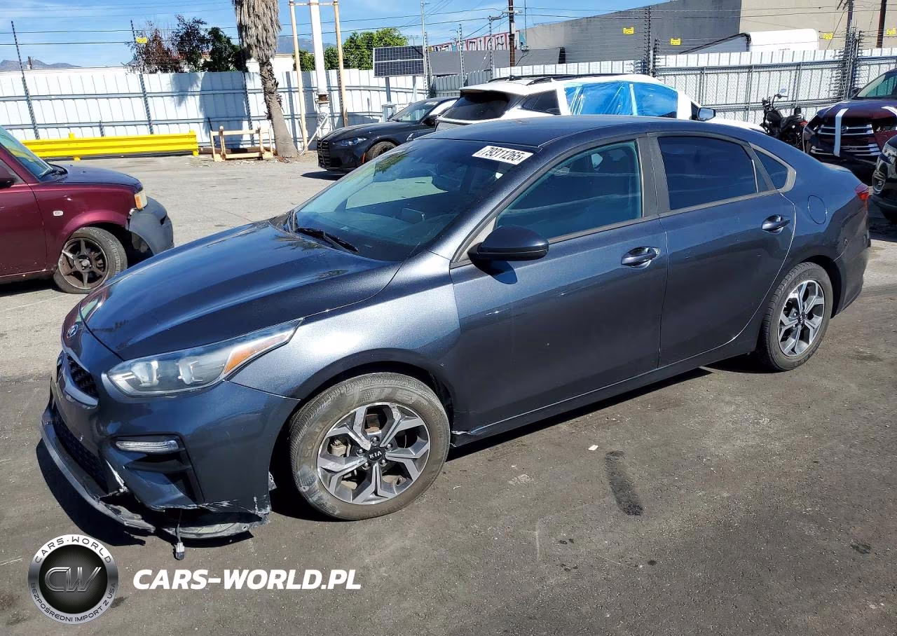 2019 Kia Forte Lxs
