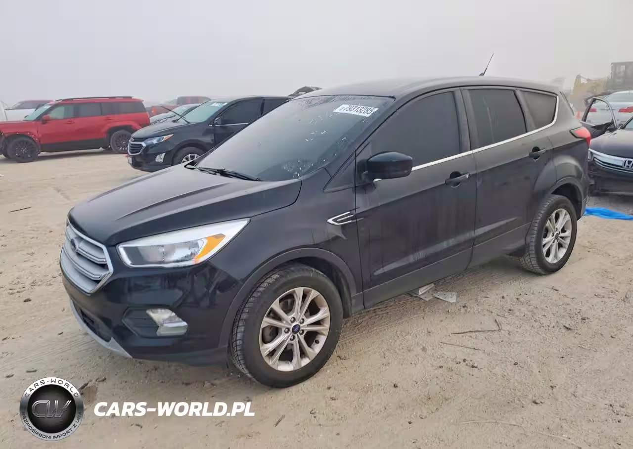 2019 Ford Escape Se
