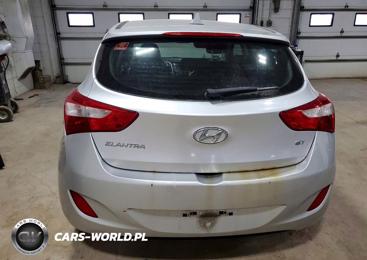 2013 Hyundai Elantra Gt Base VIN:KMHD35LE2DU119384 - 6