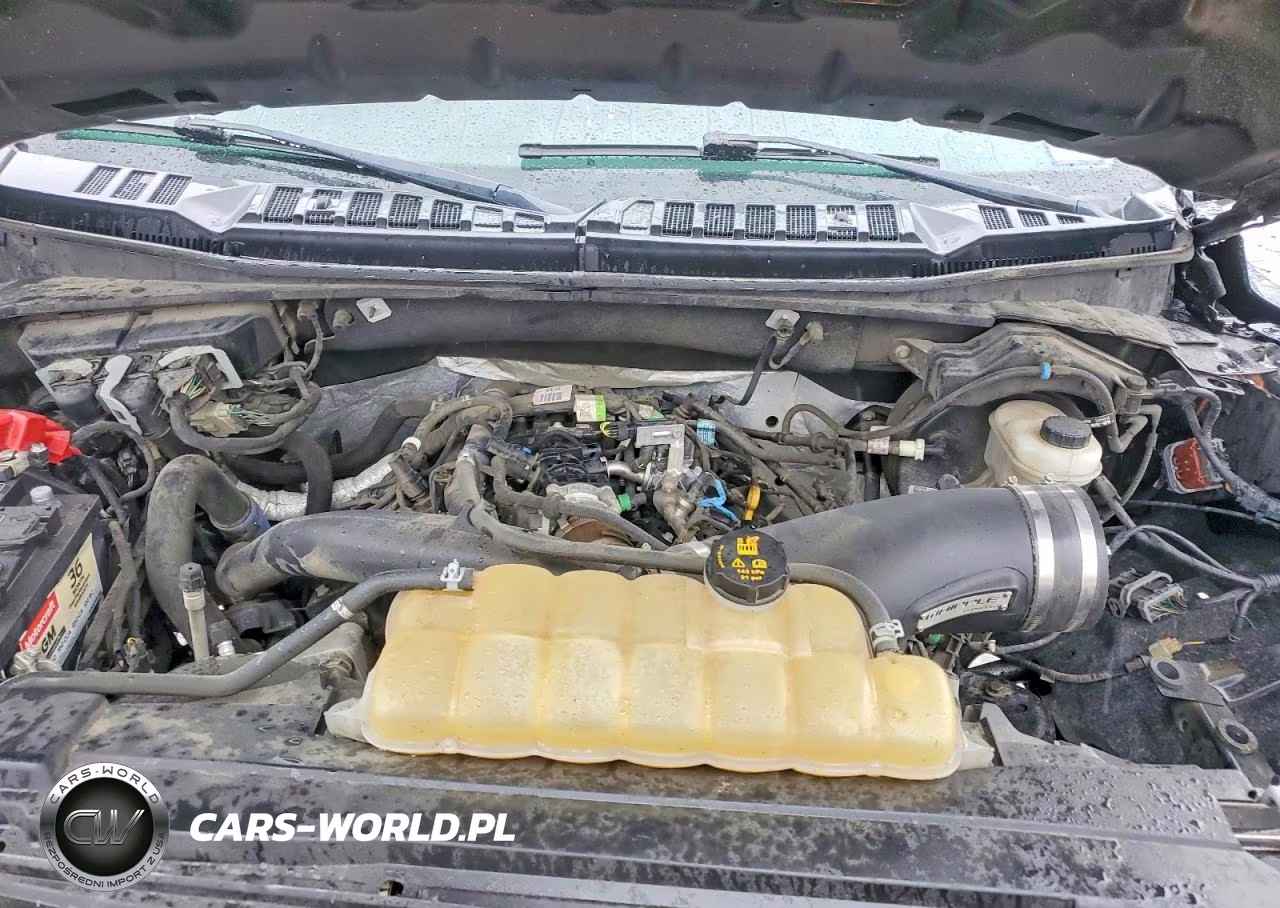 2019 Ford F150 VIN:1FTMF1EP5KKD11684 - 11