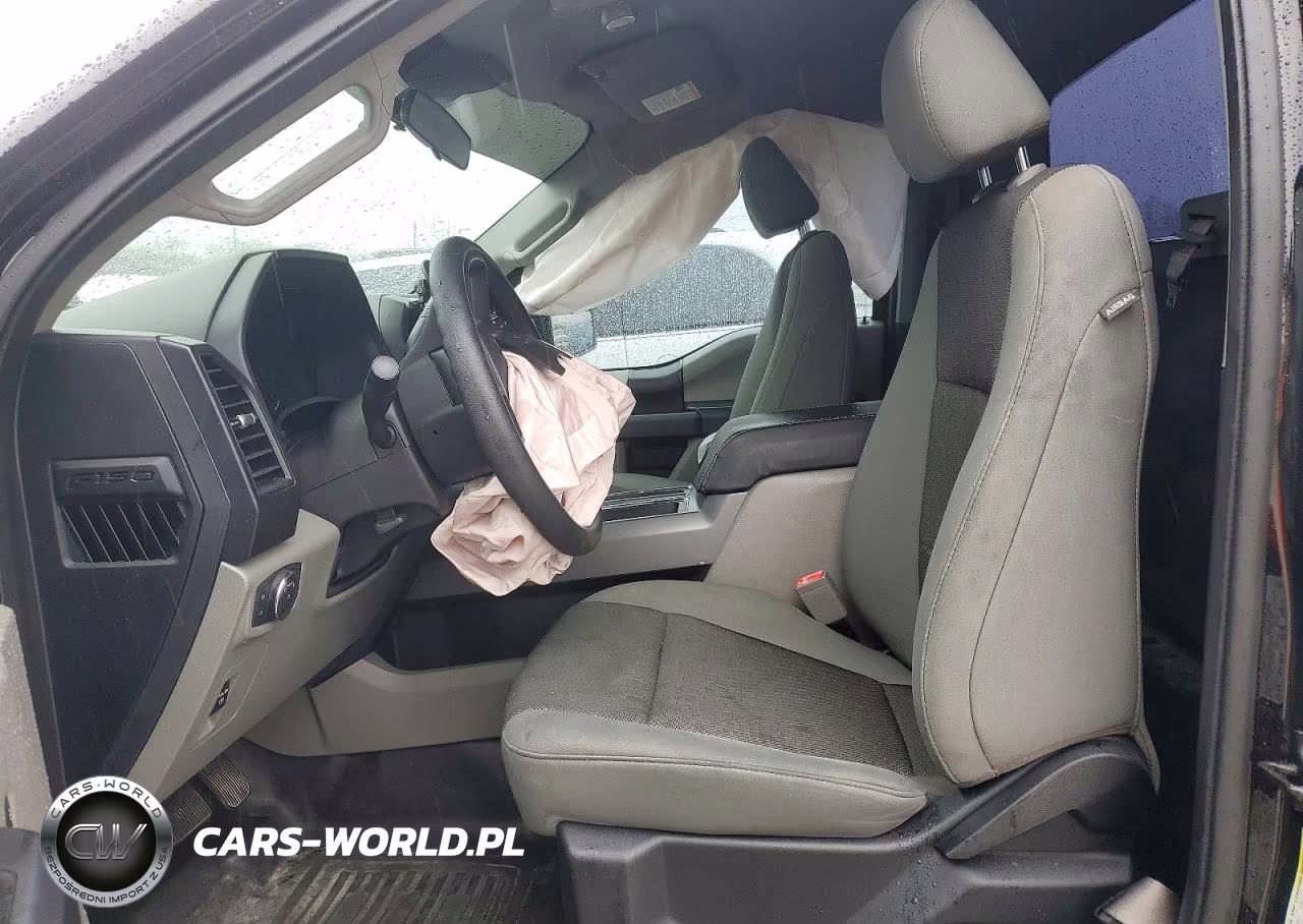 2019 Ford F150 VIN:1FTMF1EP5KKD11684 - 7