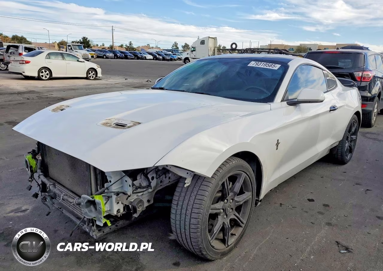 2019 Ford Mustang