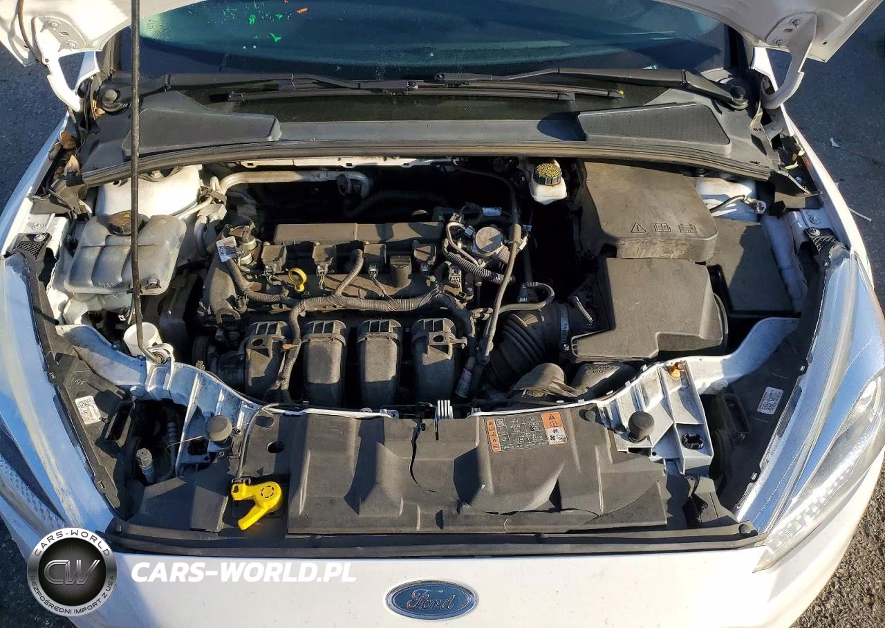 2018 Ford Focus Se VIN:1FADP3F2XJL217763 - 11