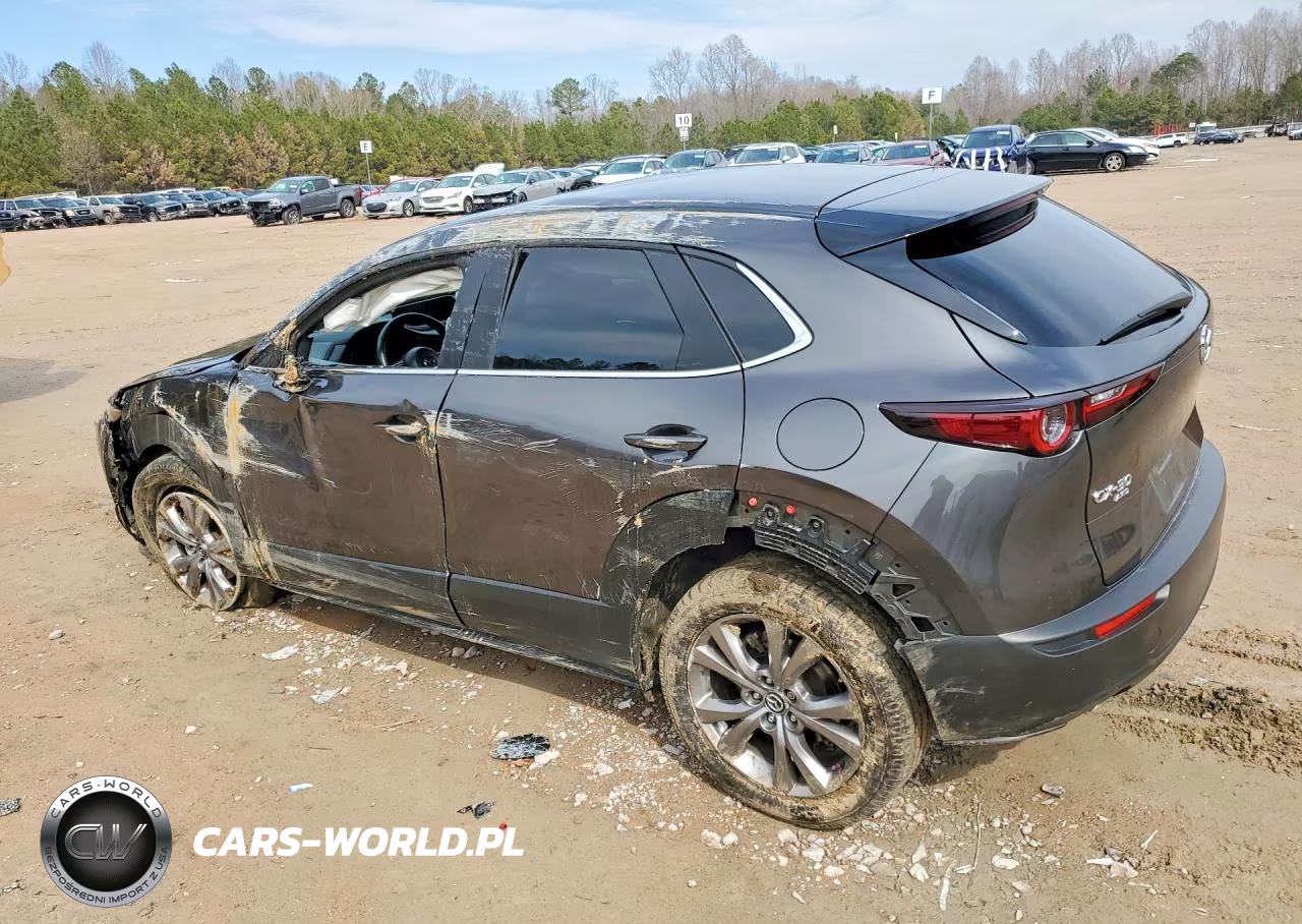 2021 Mazda Cx-30 Preferred VIN:3MVDMBCL6MM313045 - 2