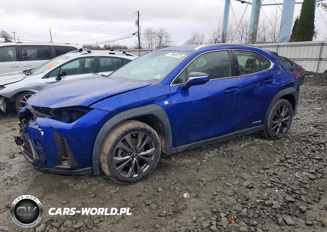 2019 Lexus Ux 250H F Sport
